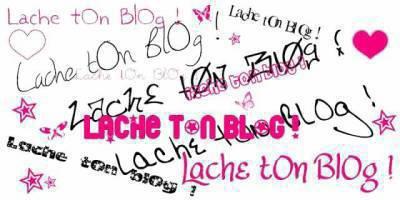 lache ton blog!!!!!